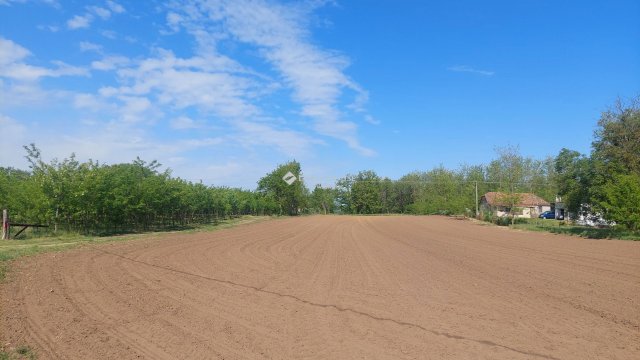 Eladó mezogazdasagi ingatlan, Nyíregyházán 7 M Ft