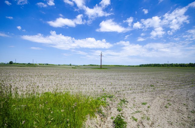 Eladó telek, Pusztavacson 99 M Ft / költözzbe.hu