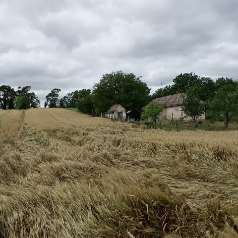 Eladó családi ház, Tengődön 12.5 M Ft, 2 szobás