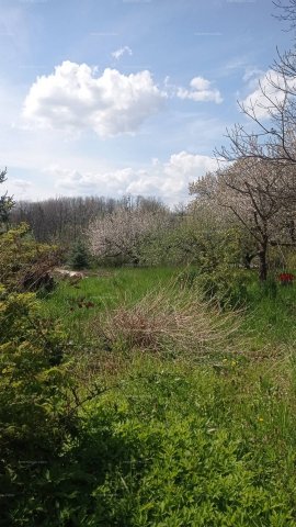 Eladó nyaraló, Zalasárszegen 7.5 M Ft, 2 szobás