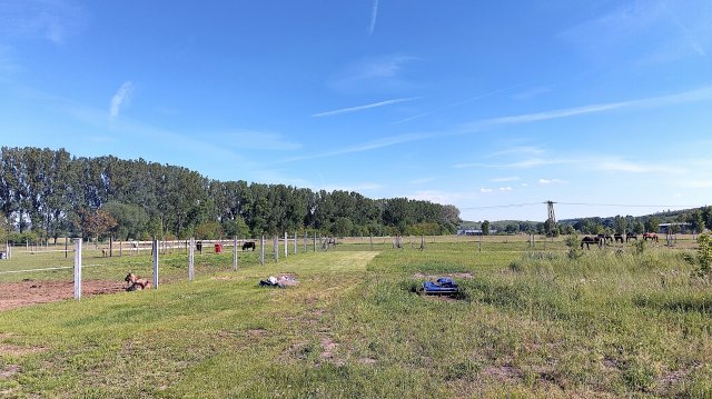 Eladó telek, Dorogon 224 M Ft / költözzbe.hu