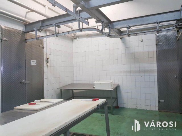 Eladó ipari ingatlan, Hódmezővásárhelyen 150 M Ft
