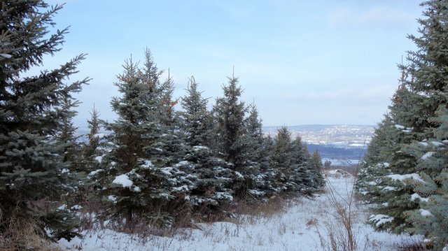 Eladó telek, Mogyoródon 724 M Ft / költözzbe.hu