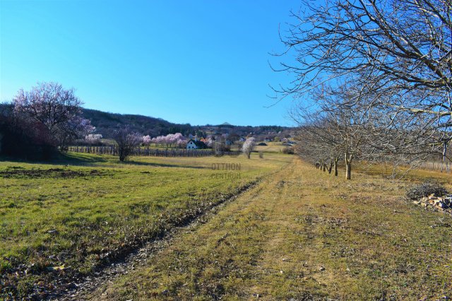 Eladó mezogazdasagi ingatlan, Balatonudvariban 39.9 M Ft