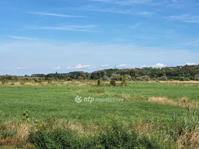 Eladó családi ház, Szántódon 350 M Ft, 17 szobás