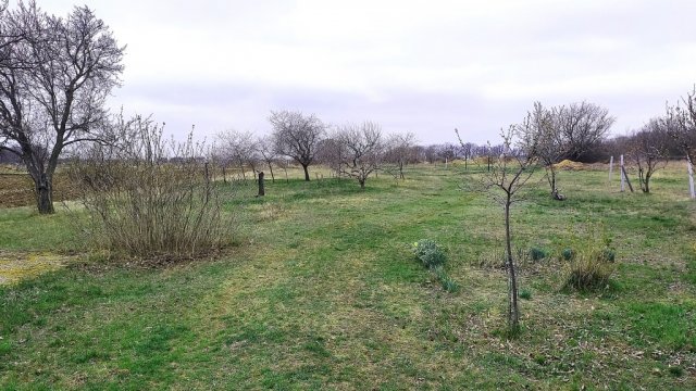 Eladó telek, Szentkirályszabadján 19.9 M Ft