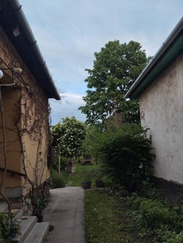 Eladó családi ház, Csanádpalotán, Petőfi utcában 21 M Ft
