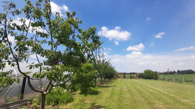 Eladó telek, Győrött 21.5 M Ft / költözzbe.hu