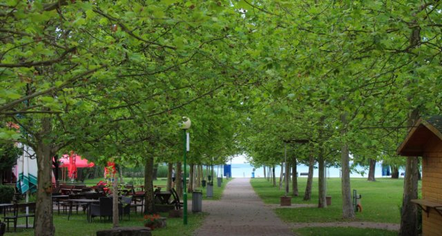 Eladó családi ház, Balatonfűzfőn, Tobruk utcában 57 M Ft