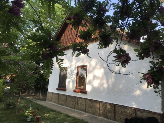 Eladó mezogazdasagi ingatlan, Szegváron 16.5 M Ft, 3 szobás