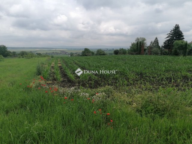 Eladó telek, Bicskén 8.9 M Ft / költözzbe.hu