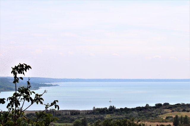 Eladó családi ház, Balatonalmádiban 230 M Ft, 3+1 szobás