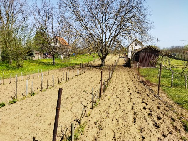 Eladó telek, Sülysápon 2.2 M Ft / költözzbe.hu