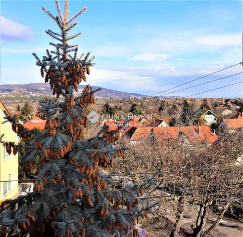 Eladó családi ház, Törökbálinton 139 M Ft, 9 szobás