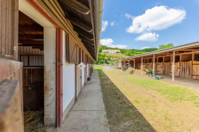Eladó mezogazdasagi ingatlan, Szekszárdon 80 M Ft
