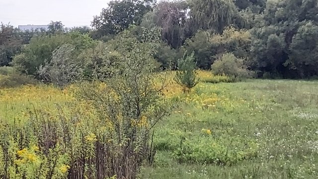 Eladó telek, Vértesszőlősön, Baromállási dűlőn 4.5 M Ft