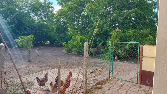 Eladó családi ház, Csanádapácán 17.2 M Ft, 2 szobás