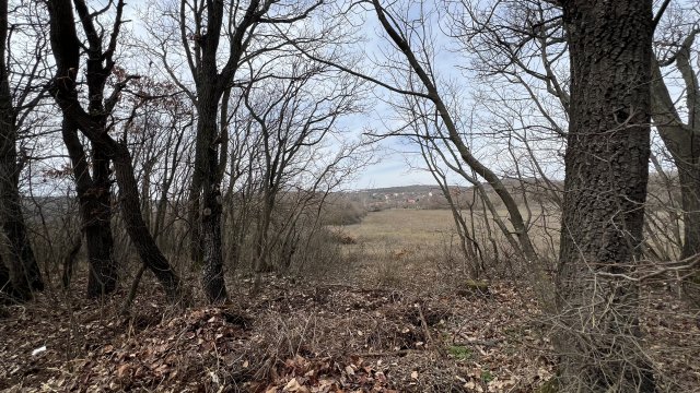 Eladó telek, Balatonudvariban 14.6 M Ft / költözzbe.hu