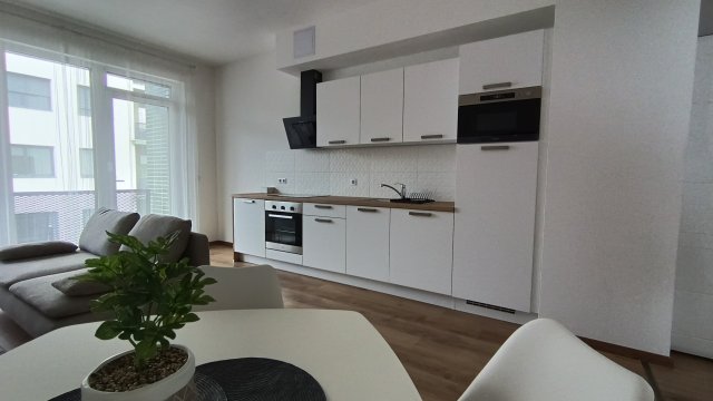 Kiadó téglalakás, albérlet, Budapesten, XI. kerületben