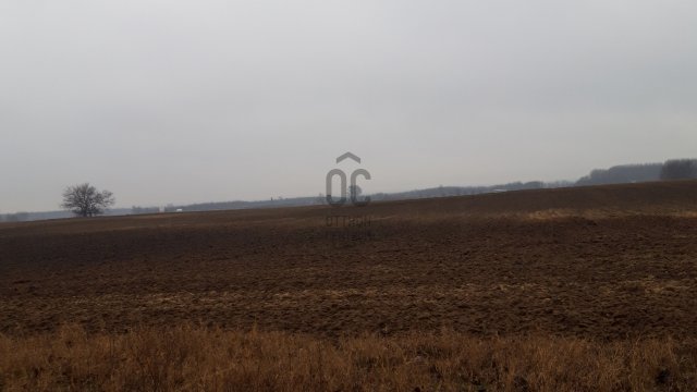 Eladó mezogazdasagi ingatlan, Üllőn 700 M Ft