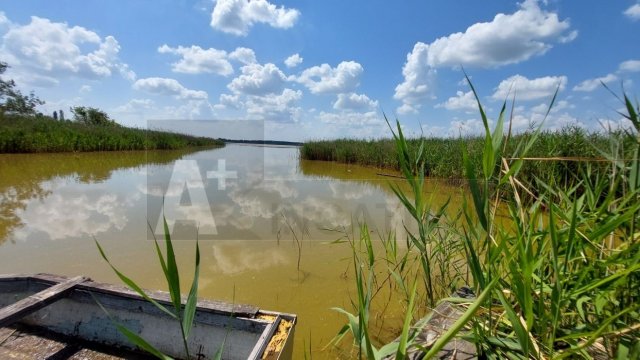 Eladó mezogazdasagi ingatlan, Balástyán 42 M Ft