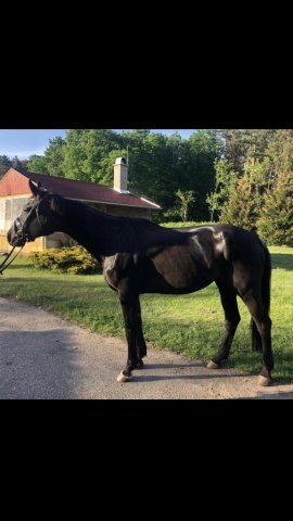 Eladó mezogazdasagi ingatlan, Debrecenben 125 M Ft, 4 szobás