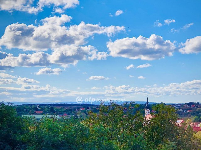 Eladó családi ház, Pátyon 320 M Ft, 7 szobás