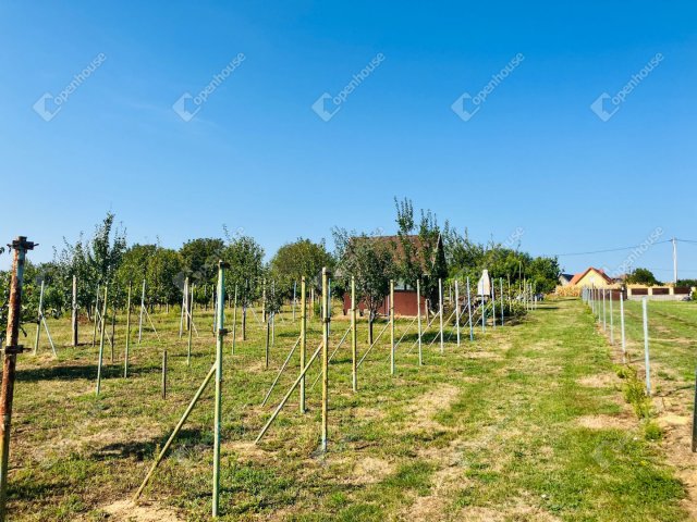 Eladó telek, Alsópáhokon 10.5 M Ft / költözzbe.hu