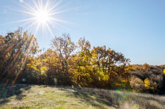 Eladó ipari ingatlan, Szentkirályszabadján 500 M Ft