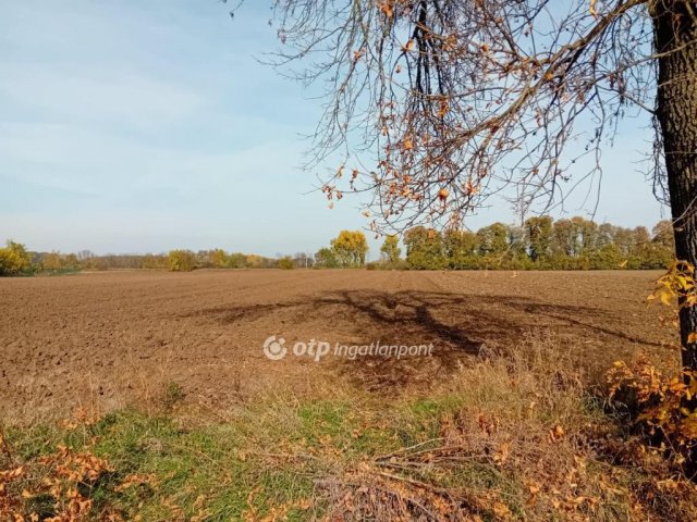 Eladó telek, Biharkeresztesen 7 M Ft / költözzbe.hu