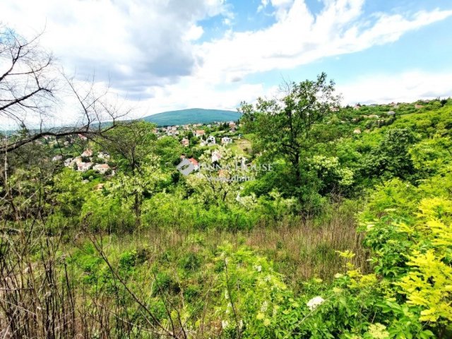 Eladó telek, Pécsett 59 M Ft / költözzbe.hu