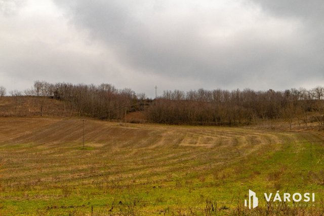 Eladó mezogazdasagi ingatlan, Erdősmárokok 2.8 M Ft