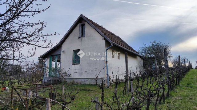Eladó mezogazdasagi ingatlan, Pázmándon 19.9 M Ft, 1 szobás