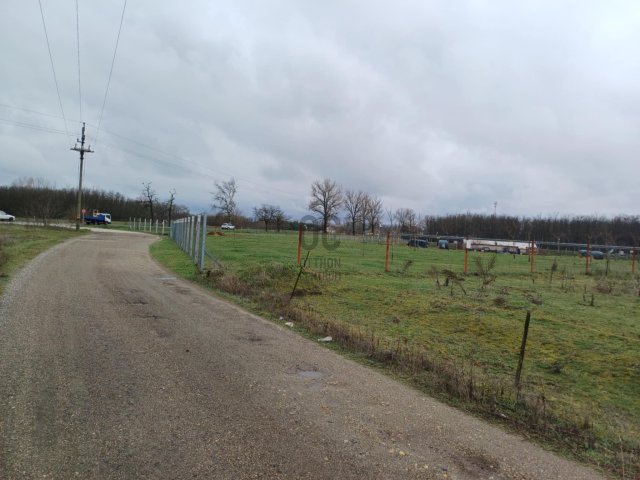Eladó mezogazdasagi ingatlan, Cegléden 5.5 M Ft