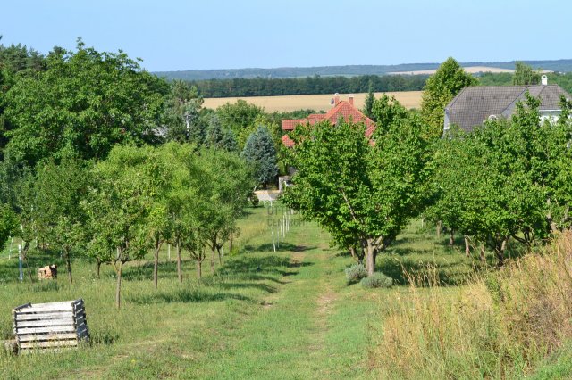 Eladó családi ház, Siófokon 130 M Ft, 3 szobás