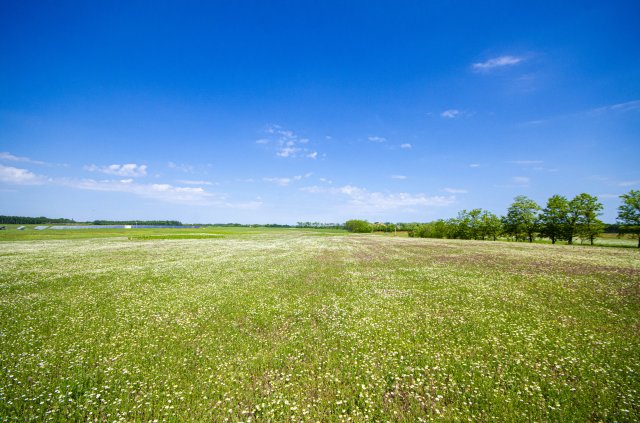 Eladó telek, Inárcson 120 M Ft / költözzbe.hu