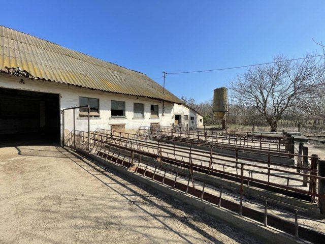 Eladó telek, Bölcskén, Ady Endre utcában 199 M Ft