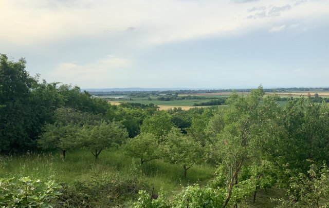 Eladó nyaraló, Siófokon 18 M Ft, 2 szobás / költözzbe.hu