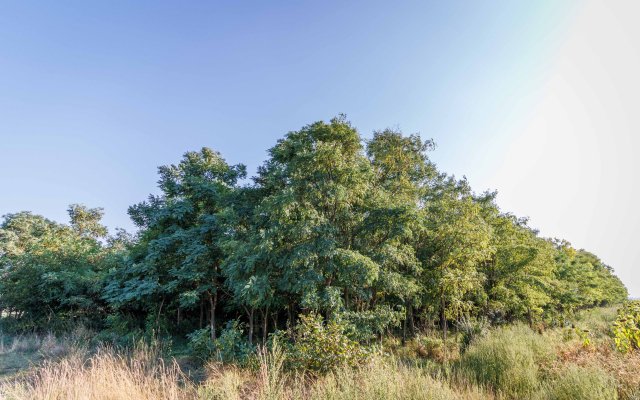 Eladó mezogazdasagi ingatlan, Lovasberényben 5.5 M Ft
