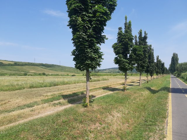 Eladó telek, Egerben 20 M Ft / költözzbe.hu