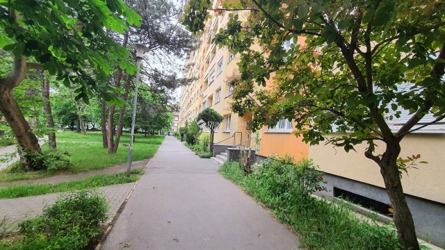 Kiadó panellakás, albérlet, Budapesten, XI. kerületben