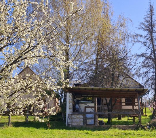Eladó családi ház, Pécsváradon 12.49 M Ft, 1 szobás