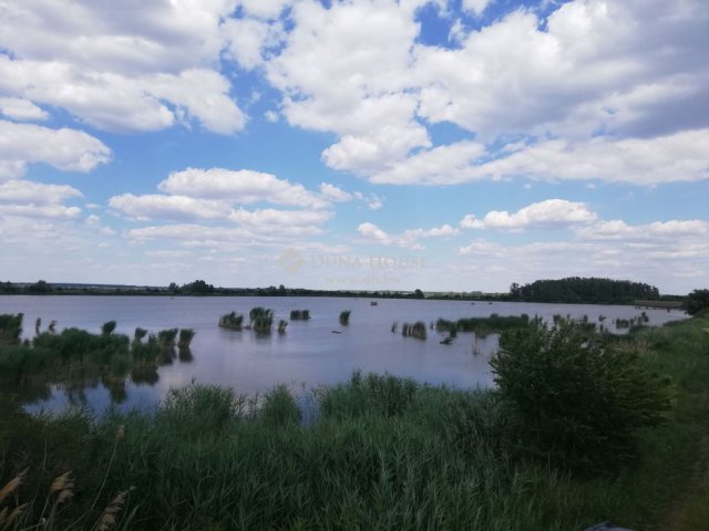 Eladó mezogazdasagi ingatlan, Tiszasülyön 435 M Ft