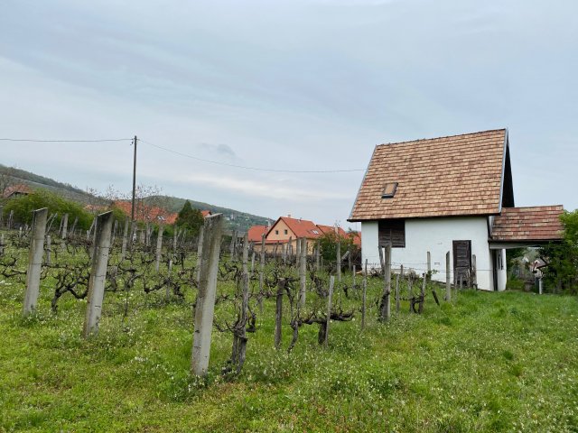 Eladó nyaraló, Pécsett 20 M Ft, 1 szobás / költözzbe.hu