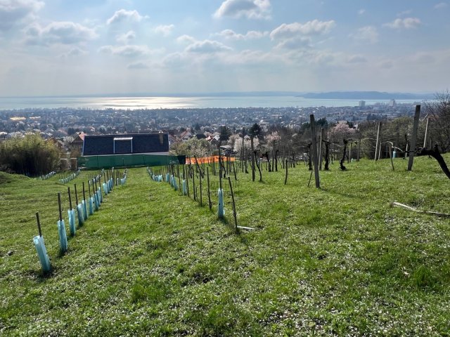 Eladó telek, Balatonfüreden 269 M Ft / költözzbe.hu