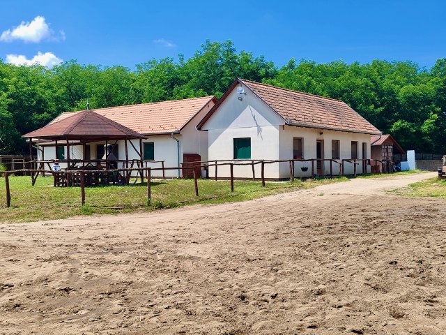 Eladó mezogazdasagi ingatlan, Felsőpakonyban 238 M Ft