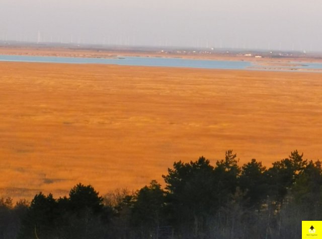 Eladó családi ház, Fertőbozon 84 M Ft, 3 szobás
