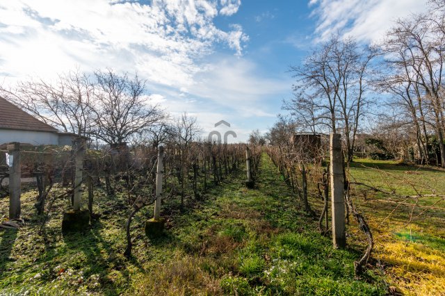 Eladó családi ház, Lepsényben 19.5 M Ft, 2 szobás