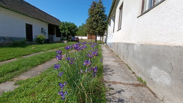 Eladó családi ház, Majson 16.8 M Ft, 4 szobás