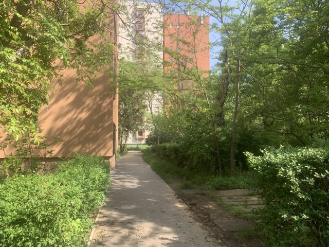 Kiadó téglalakás, albérlet, Budapesten, XIV. kerületben